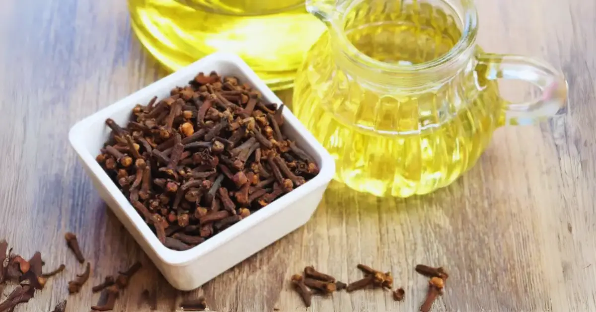 Clove Water For Hair Growth
