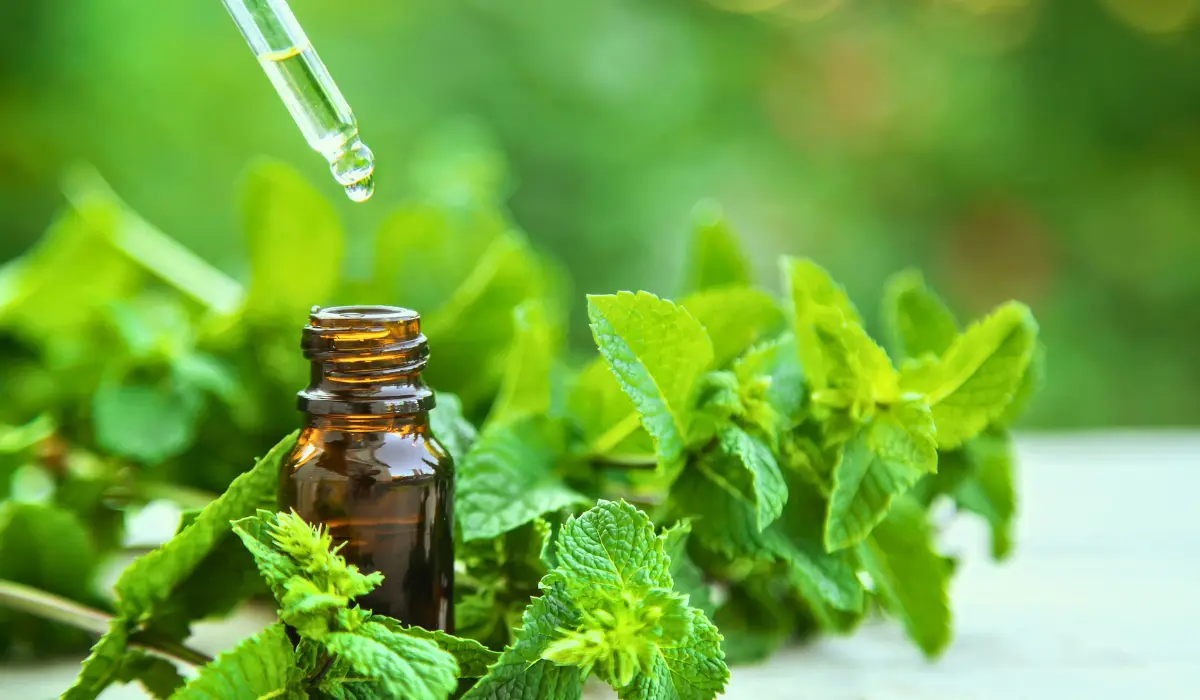 Essential Oils For Pain Relief