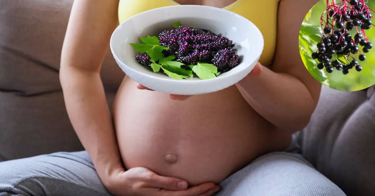 elderberry safe during pregnancy