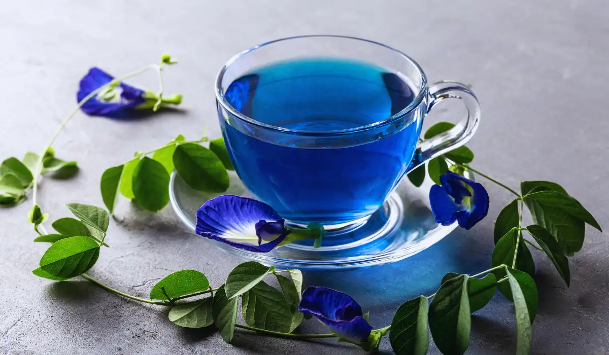 Health Benefits Of Blue Tea